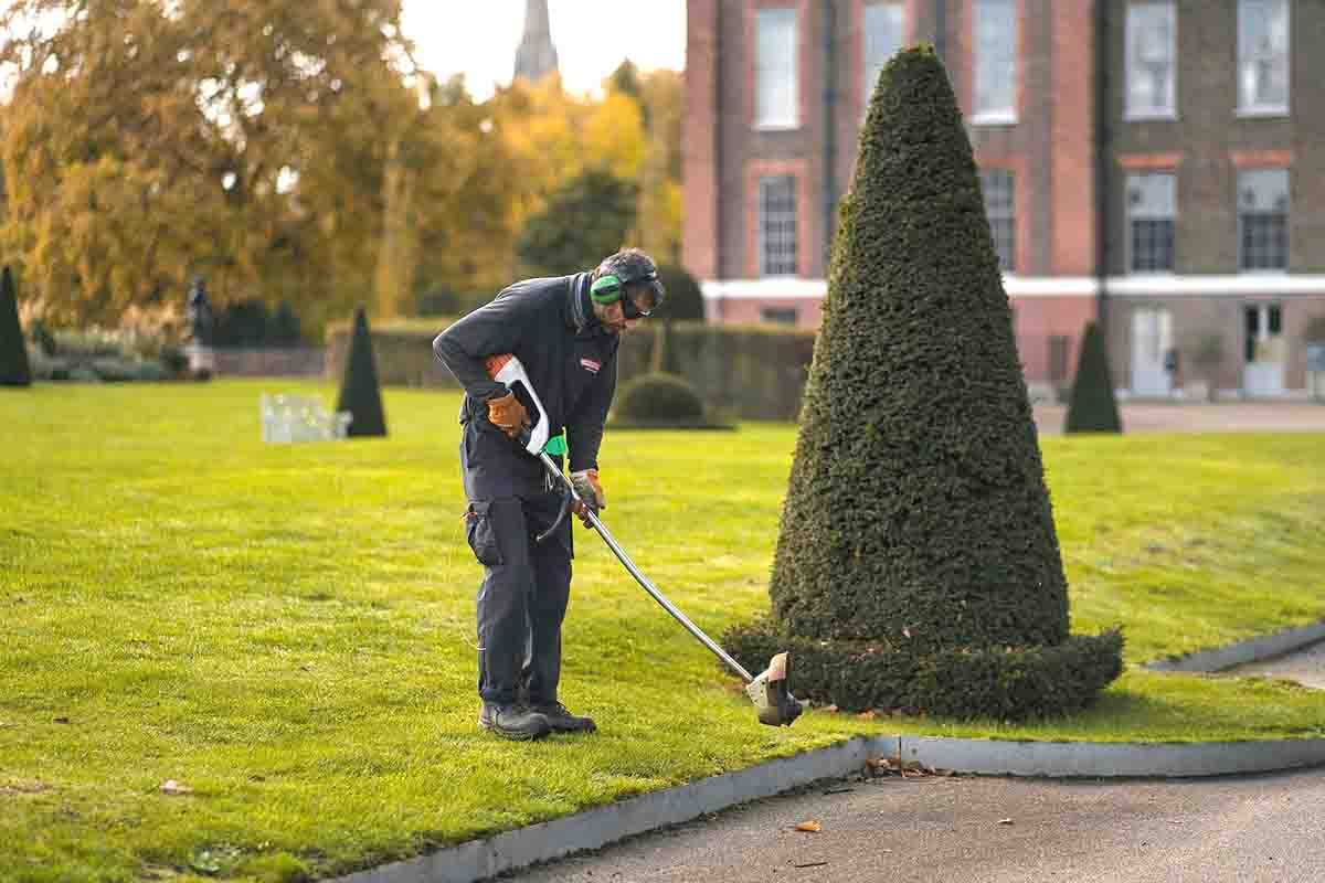landscaping in elgin il maintenance